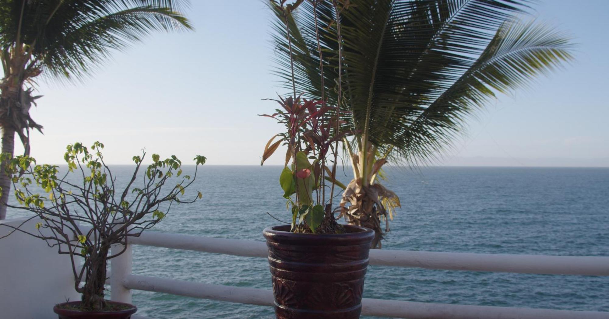 Traditional Sierra Leon Oceanfront Rooms - Adults Only Puerto Vallarta Buitenkant foto